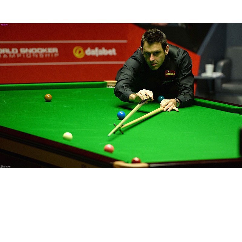 体的努力 体的努力