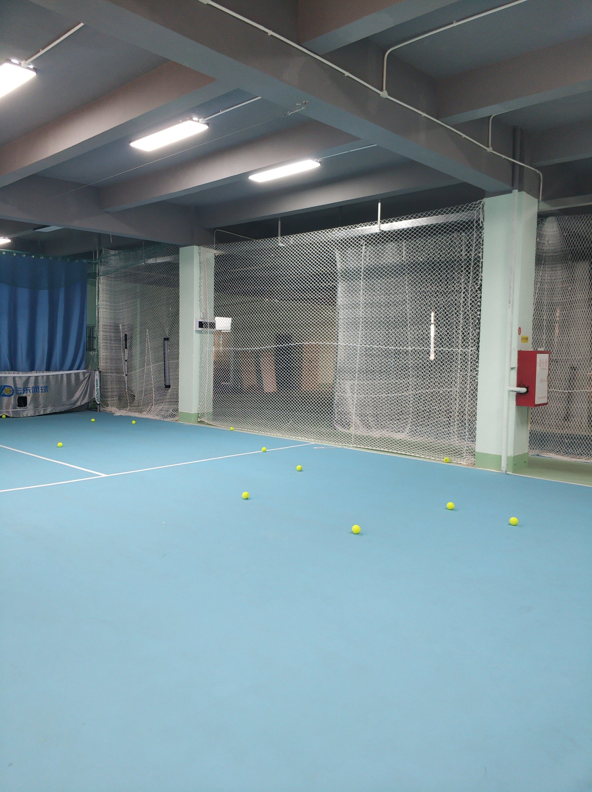 他的建议 他的建议